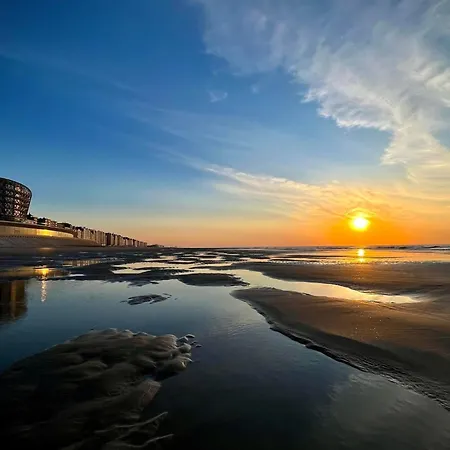 Royal Met Garage Apartman